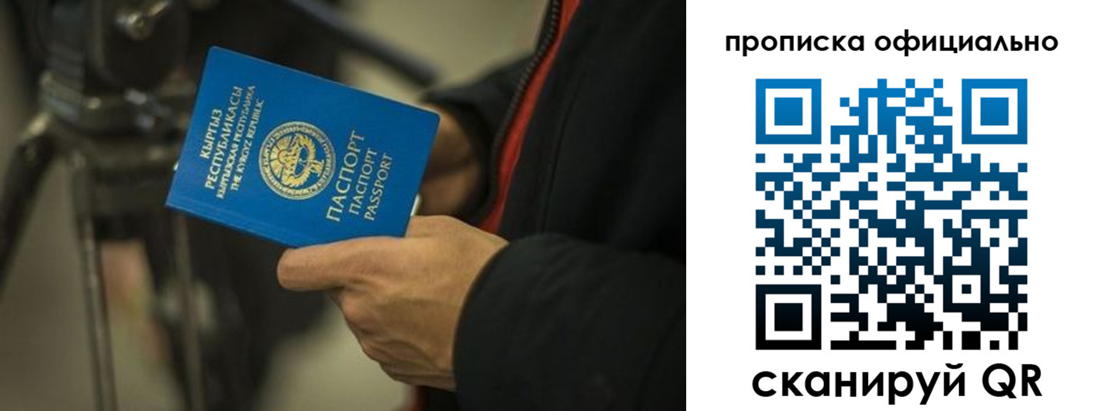 прописка в Электрогорске