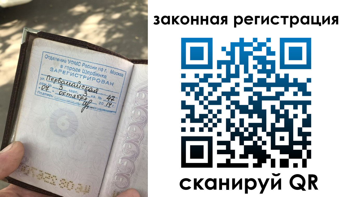 прописка 2025 в Электрогорске